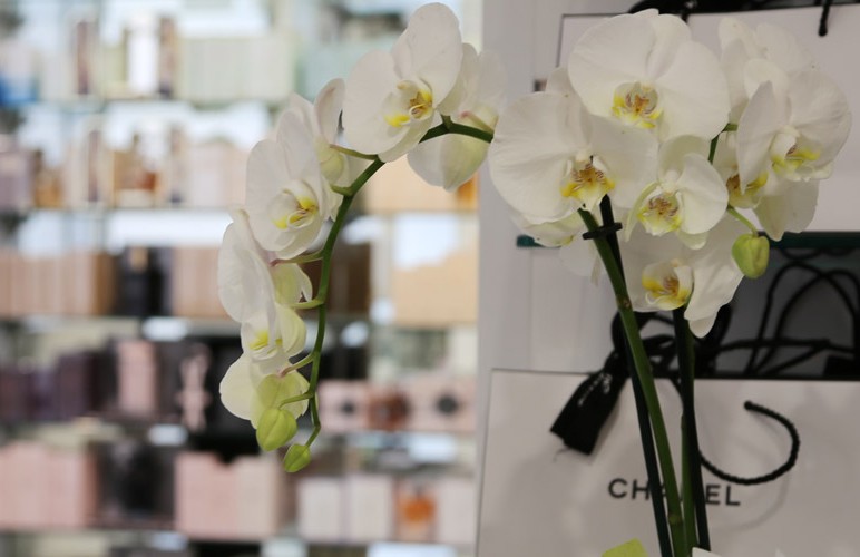 I nostri Store